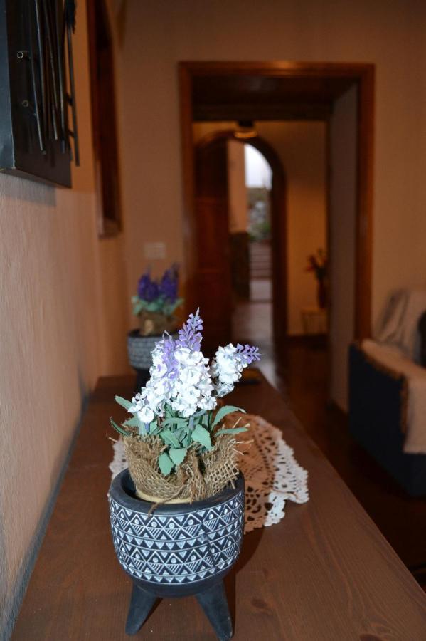 Casa Alamo Agaete Hotell Agaete  Eksteriør bilde