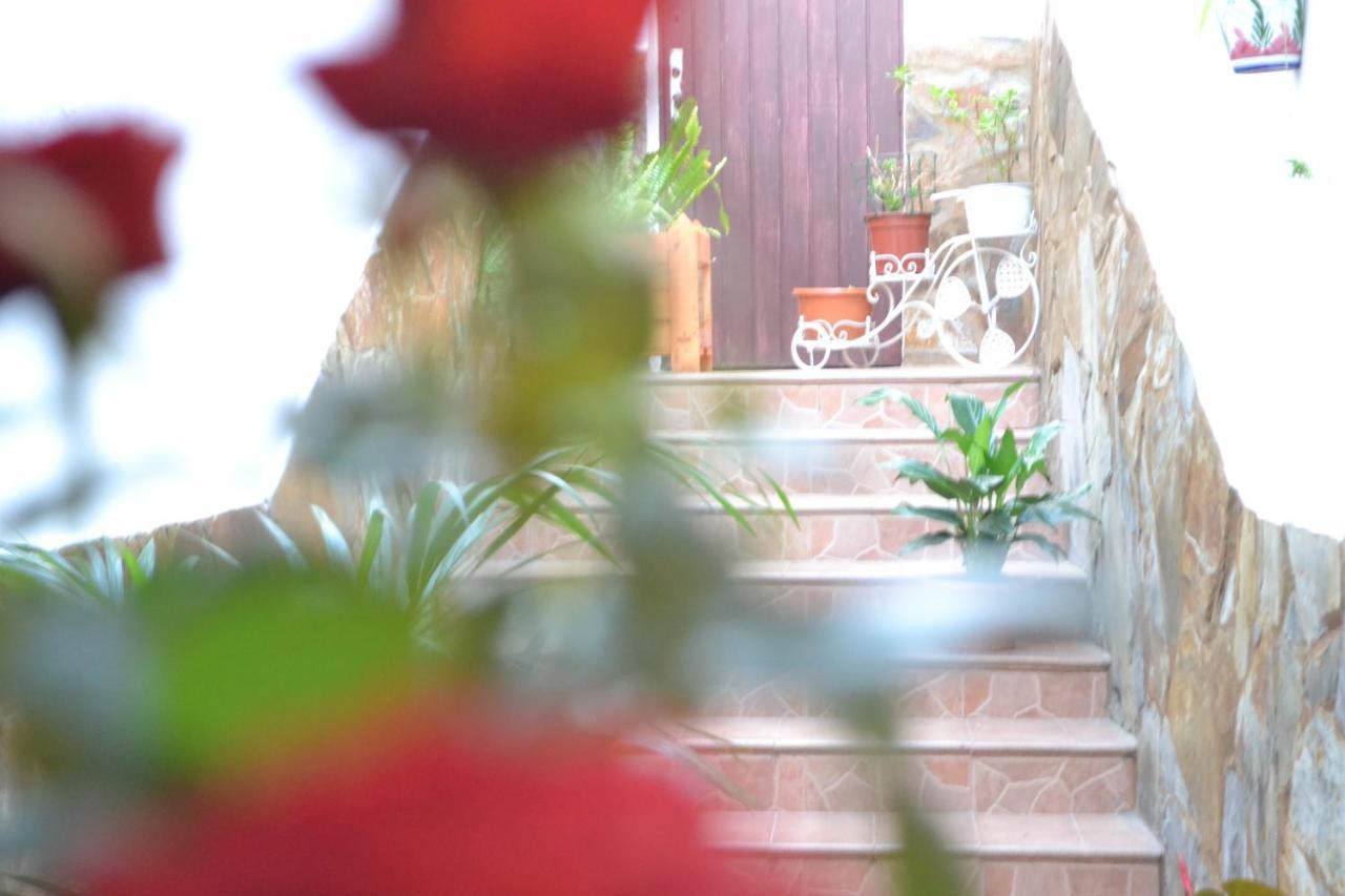Casa Alamo Agaete Hotell Agaete  Eksteriør bilde